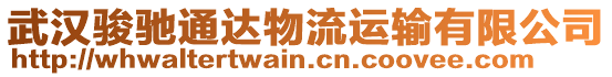 武漢駿馳通達物流運輸有限公司