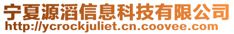 寧夏源滔信息科技有限公司