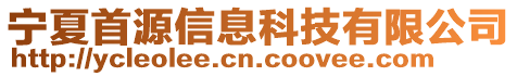 寧夏首源信息科技有限公司