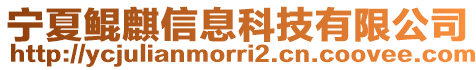 寧夏鯤麒信息科技有限公司