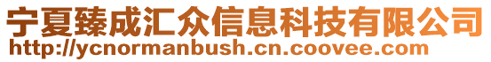 寧夏臻成匯眾信息科技有限公司