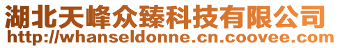 湖北天峰眾臻科技有限公司