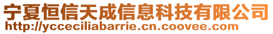 寧夏恒信天成信息科技有限公司