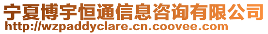 寧夏博宇恒通信息咨詢有限公司