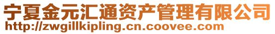 寧夏金元匯通資產管理有限公司