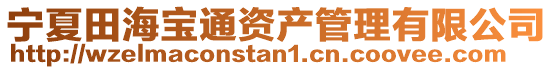 寧夏田海寶通資產管理有限公司