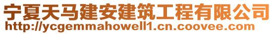 寧夏天馬建安建筑工程有限公司