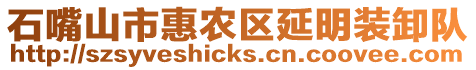 石嘴山市惠農區延明裝卸隊