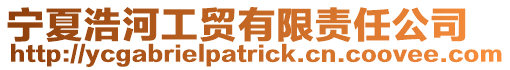 寧夏浩河工貿有限責任公司