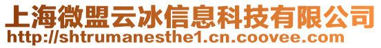 上海微盟云冰信息科技有限公司