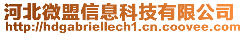 河北微盟信息科技有限公司