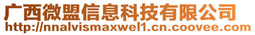 廣西微盟信息科技有限公司