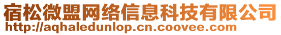 宿松微盟網(wǎng)絡(luò)信息科技有限公司