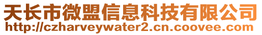 天長市微盟信息科技有限公司