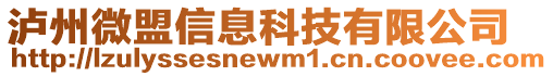 瀘州微盟信息科技有限公司