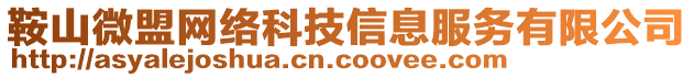 鞍山微盟網絡科技信息服務有限公司