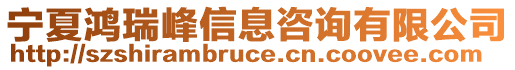 寧夏鴻瑞峰信息咨詢有限公司