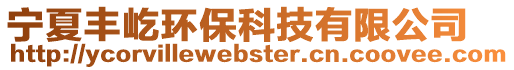 寧夏豐屹環(huán)?？萍加邢薰? style=
