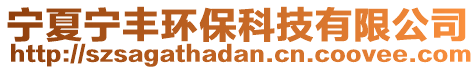 寧夏寧豐環(huán)保科技有限公司