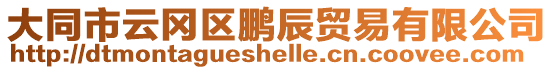 大同市云岡區鵬辰貿易有限公司