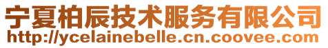 寧夏柏辰技術(shù)服務(wù)有限公司