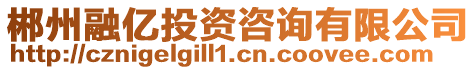 郴州融億投資咨詢有限公司