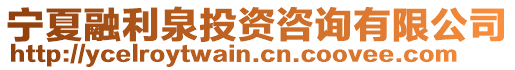 寧夏融利泉投資咨詢有限公司