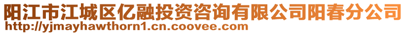 陽江市江城區(qū)億融投資咨詢有限公司陽春分公司