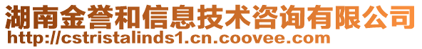 湖南金譽和信息技術(shù)咨詢有限公司