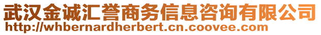 武漢金誠(chéng)匯譽(yù)商務(wù)信息咨詢有限公司