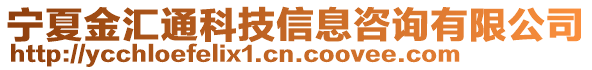 寧夏金匯通科技信息咨詢有限公司