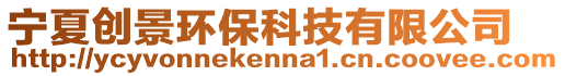 寧夏創(chuàng)景環(huán)保科技有限公司