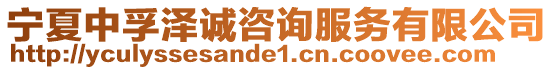 寧夏中孚澤誠咨詢服務有限公司