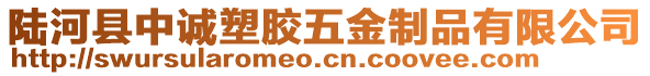 陸河縣中誠塑膠五金制品有限公司