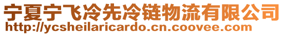 寧夏寧飛冷先冷鏈物流有限公司