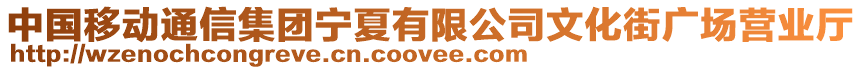 中國移動通信集團寧夏有限公司文化街廣場營業(yè)廳