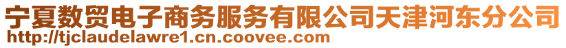 寧夏數(shù)貿(mào)電子商務(wù)服務(wù)有限公司天津河?xùn)|分公司