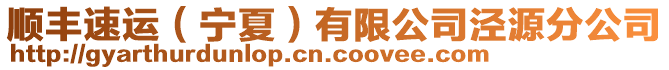 順豐速運（寧夏）有限公司涇源分公司