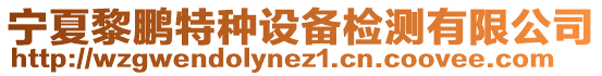 寧夏黎鵬特種設備檢測有限公司