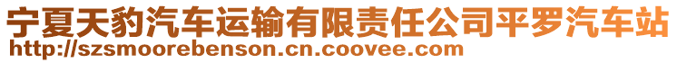 寧夏天豹汽車運輸有限責任公司平羅汽車站