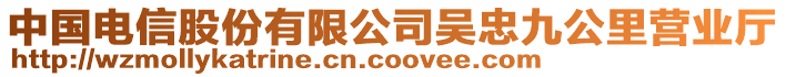 中國(guó)電信股份有限公司吳忠九公里營(yíng)業(yè)廳