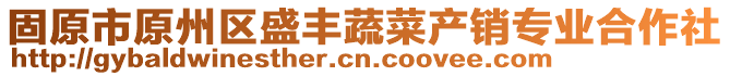 固原市原州區(qū)盛豐蔬菜產(chǎn)銷專業(yè)合作社