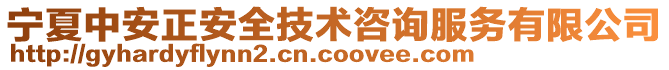 寧夏中安正安全技術(shù)咨詢服務(wù)有限公司