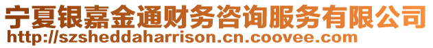 寧夏銀嘉金通財(cái)務(wù)咨詢服務(wù)有限公司