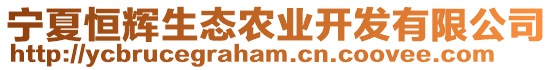 寧夏恒輝生態(tài)農(nóng)業(yè)開發(fā)有限公司