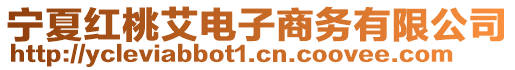 寧夏紅桃艾電子商務(wù)有限公司