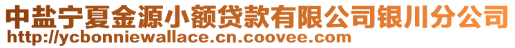 中鹽寧夏金源小額貸款有限公司銀川分公司