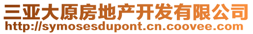 三亞大原房地產(chǎn)開發(fā)有限公司