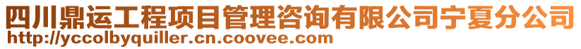 四川鼎運工程項目管理咨詢有限公司寧夏分公司