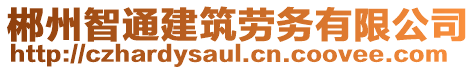 郴州智通建筑勞務(wù)有限公司